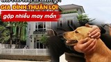 Đầu năm gặp 5 điềm lành này trong nhà dự báo lộc về căng ví