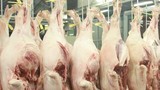 Lào tạm ngừng nhập khẩu thịt lợn từ Việt Nam và một số nước 