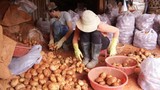 Đà Lạt lập chốt 24/24 chặn khoai tây Trung Quốc vào chợ