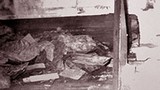 Cuộc đánh cắp vô số kho báu trong lăng mộ Từ Hy