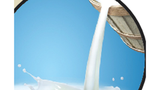 Sai lầm khi uống sữa tươi khiến trẻ bị tiêu chảy