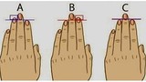 Độ dài ngón tay tiết lộ gì về tính cách bạn?