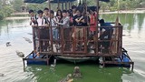 “Lè lưỡi” cảnh cho cá sấu ăn trên bè gỗ thô sơ