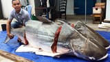 Nhà hàng xẻ thịt cặp “thủy quái” 360kg ở Sài Gòn