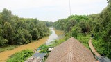 Ảnh: Con đường xuyên rừng tràm đẹp nhất Việt Nam