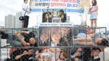 Hàn Quốc đóng cửa chợ thịt chó để đăng cai Olympics