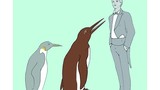 Choáng váng với hóa thạch chim cánh cụt to như người 