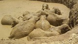 Giải cứu đàn voi mắc kẹt trong hố bùn ở Campuchia