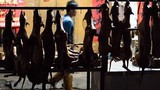 Dân Đài Loan có thể sẽ không được ăn thịt chó khoái khẩu