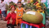 Lạc vào thế giới “hàng khủng” trong ngày hội vườn trái cây