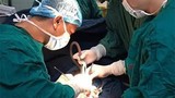 Phẫu thuật thành công khối u hiếm gặp của bé gái
