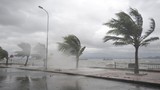 Việt Nam hứng nhiều siêu bão bất thường, sức tàn phá lớn