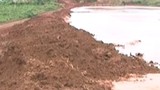 Tràn bùn đất đỏ tại mỏ bôxít Lâm Đồng: Không độc hại