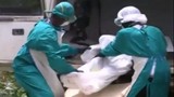 23 lao động VN nằm trong vùng dịch Ebola