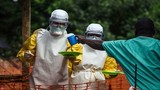 Chẩn đoán nhanh Ebola bằng... thiết bị dùng trong quy trình hạt nhân