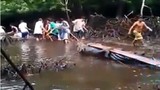 Hãi hùng clip hàng chục người dân vây bắt cá sấu khổng lồ