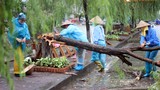Cây xanh Hà Nội đổ gục sau trận mưa to