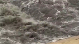 Phát hoảng với clip nước thải tuôn ra bãi biển Đà Nẵng