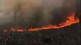 Nắng nóng đổ lửa, cháy rừng liên tiếp ở Thừa Thiên Huế