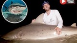 Bắt cá mập quái vật nguy hiểm nhất thế giới nặng gần 2 tạ
