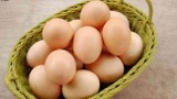 Trứng gà rẻ nhưng ăn trứng bao nhiêu là đủ?