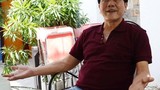 Dương Ngọc Minh, từ 'vua cá tra' đến nợ nghìn tỷ