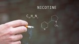 Nicotine trong thuốc lá có tác hại làm giảm khả năng học tập