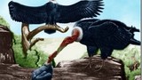 10 loài chim tiền sử ác hiểm nhất từng được biết đến