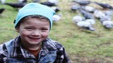 Bầy quạ suốt 4 năm tặng quà cho ân nhân 8 tuổi