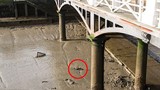 Phát hiện vật thể lạ gây ám ảnh ở sông Thames