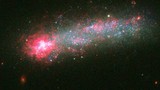 Tận mục khoảnh khắc sao sinh ra từ thiên hà Kiso 5639