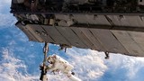 Hé lộ thú vị về vi khuẩn không gian trên bề mặt Trạm ISS