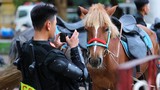 Hình ảnh loài ngựa mới "nhập ngũ" đoàn kỵ binh của CSCĐ tung vó thảo nguyên