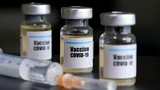 Vaccine chống COVID-19 “Made in Việt Nam” sắp được thử nghiệm trên cơ thể người