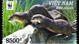 Cặp rái cá Đan Trường nuôi nhốt từng xuất hiện trong tem thư Việt Nam
