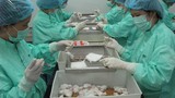 Bất ngờ sốc về tiến độ nghiên cứu vaccine phòng COVID-19 tại Việt Nam