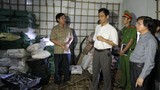 Tranh cãi về chất phenol trong 30 tấn cá nục ở Quảng Trị