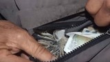 Video: Bỏ thứ này trong túi để năm mới đếm tiền mỏi tay
