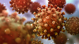 Biến thể JN.1 của virus SARS-CoV-2 tăng nhanh, có đáng lo ngại?