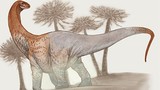 Kinh ngạc loài khủng long khổng lồ nặng gấp 5 lần T-Rex