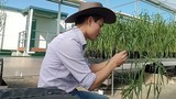Chân dung tiến sĩ Việt trở thành “người hùng” chống lại nạn đói toàn cầu