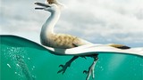 Phát hiện khủng long kỷ Phấn trắng: Trông hệt chim cánh cụt lai ngỗng?