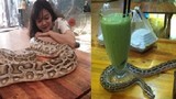 Cảnh kinh dị trong quán cà phê đầy rẫy trăn, rắn ở Sài Gòn