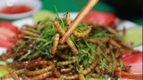 Món ăn côn trùng giá chát siêu hút khách ở Hà Nội