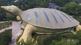 Tòa nhà hình con rùa độc đáo nhất từng thấy