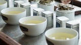 Bạch trà đắt nhất thế giới có gì đặc biệt?