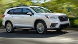 SUV 8 chỗ Subaru Ascent 2019 ra mắt giá từ 680 triệu 