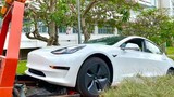 Xe Tesla Model 3 tiền tỷ về Việt Nam phục vụ sinh viên học tập 