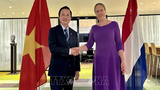 Phó Thủ tướng Trần Hồng Hà thăm và làm việc tại Hà Lan