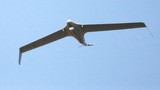 BirdEye 650D: UAV “nhỏ nhưng khủng” Israel có thể hợp với VN